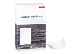 Резорбируемая мембрана Collagen Membrane, Genoss (Ю.Корея) GCM3040 - фото 28154